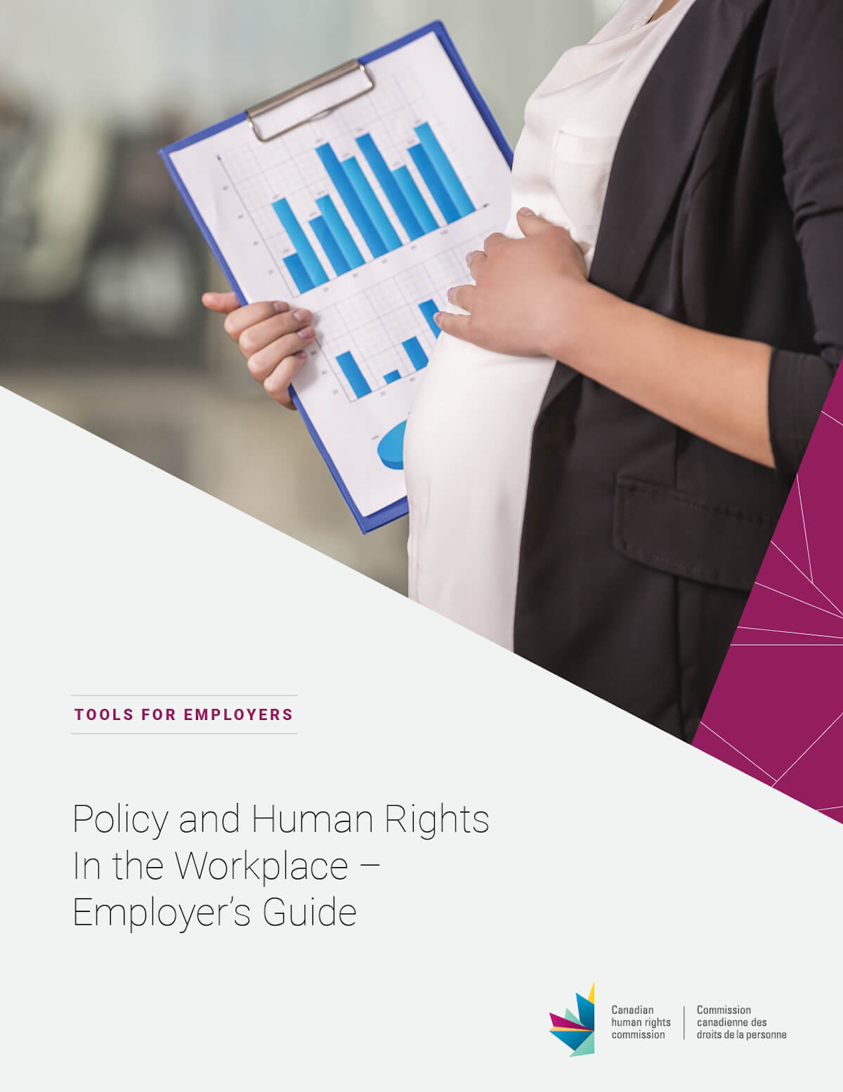 Pregnancy and Human Rights In the Workplace - Employer's Guide