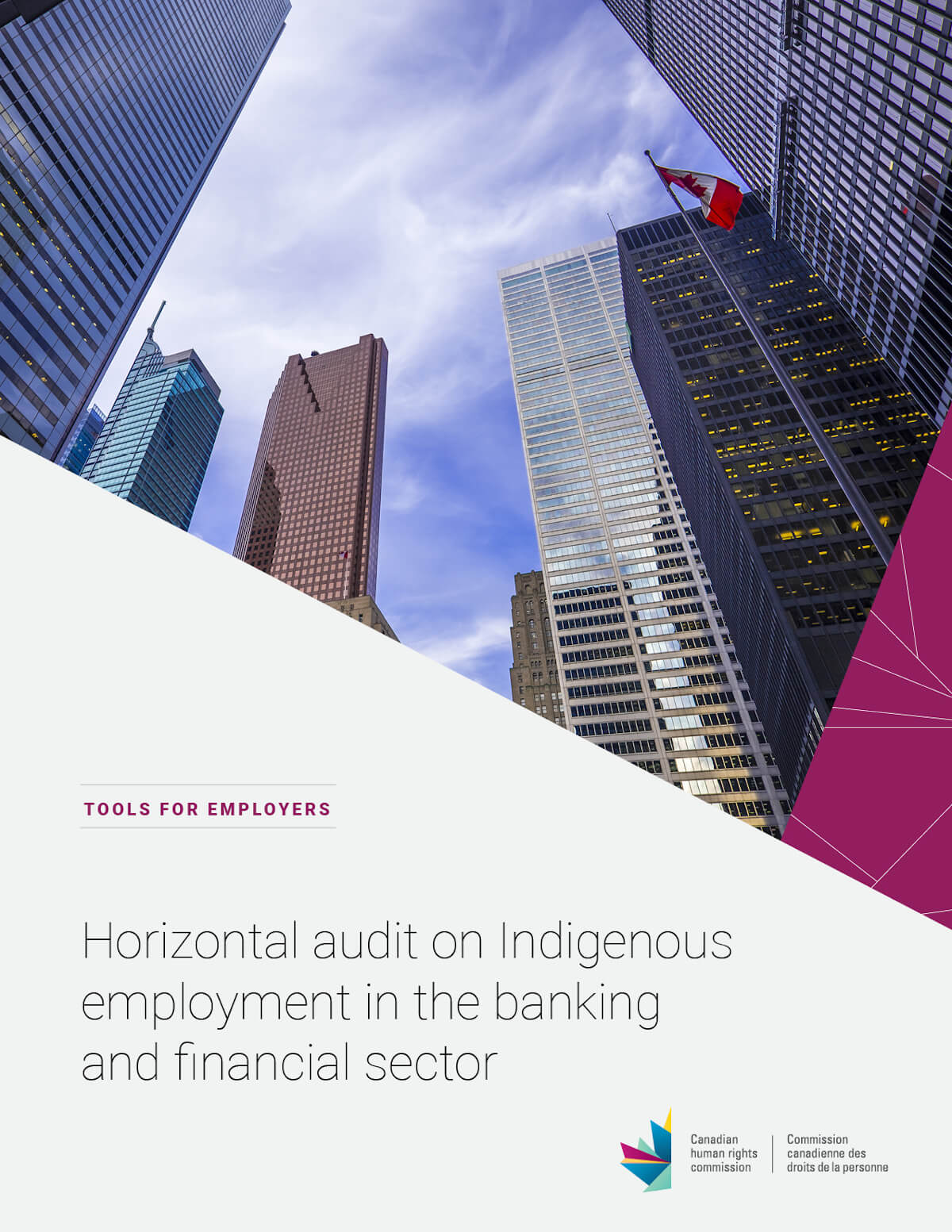 Horizontal audit on Indigenous employment in the banking and financial sector