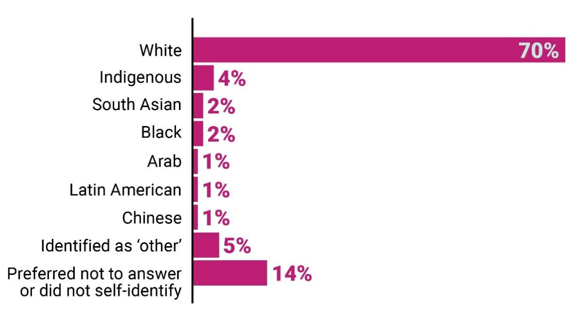 This is a bar chart of responses to the survey question about race and national or ethnic origin.