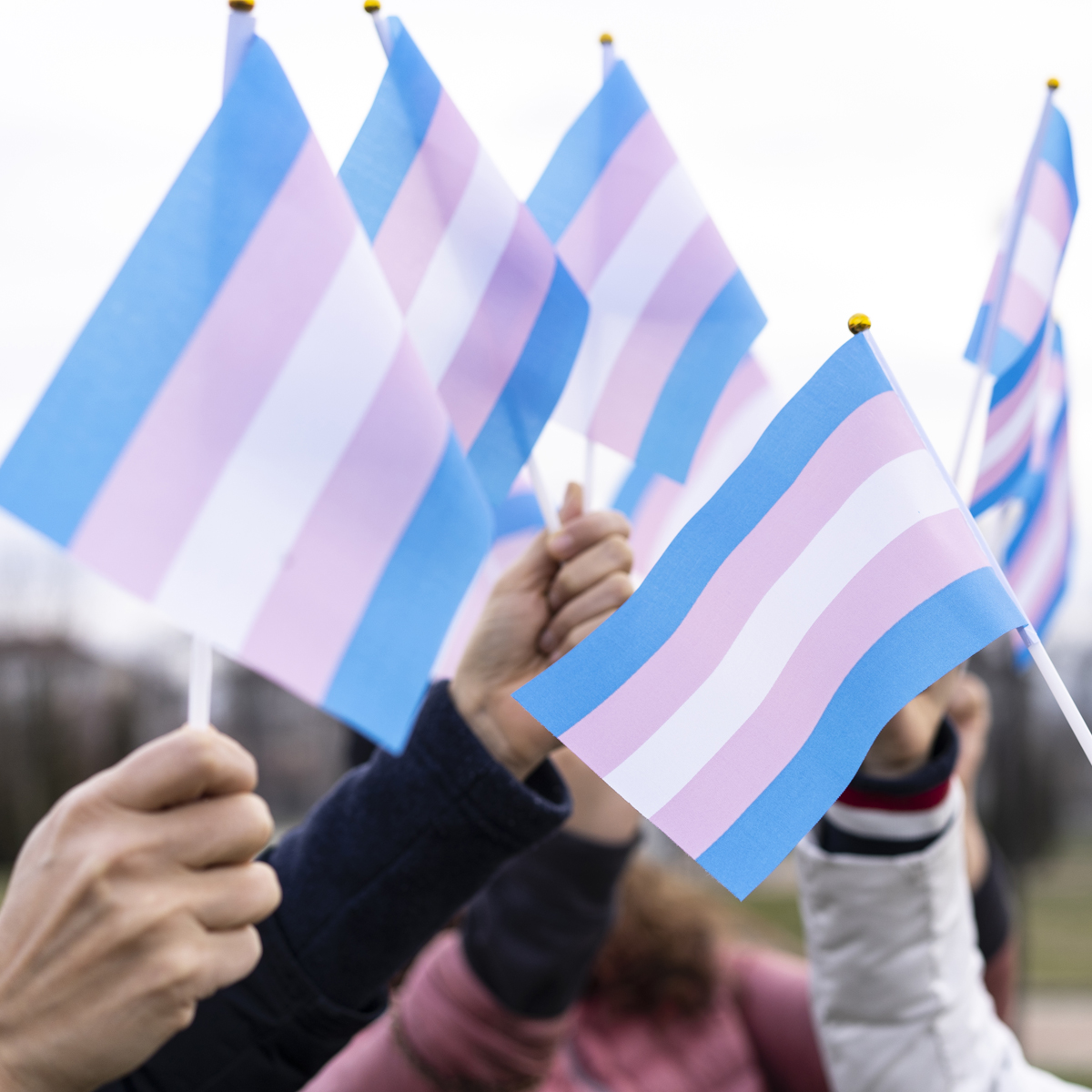 Trans visibility starts by upholding trans human rights