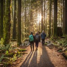 Un père et ses deux filles marchent dans la forêt d'un parc provincial de la Colombie-Britannique.