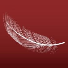 White Feather on a red backgroung